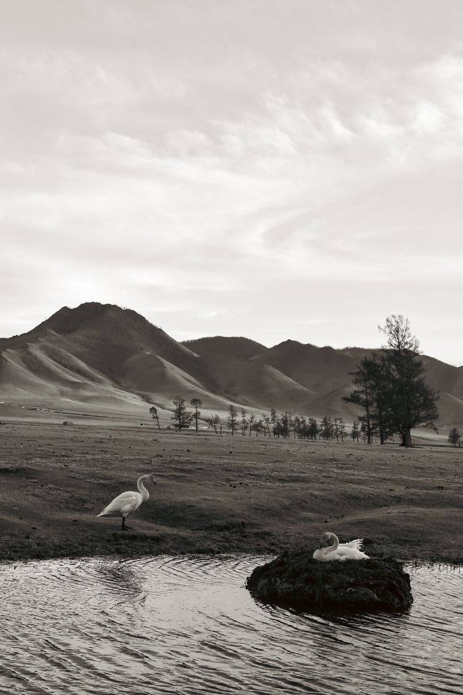 Photograph by Юлия Тельпова