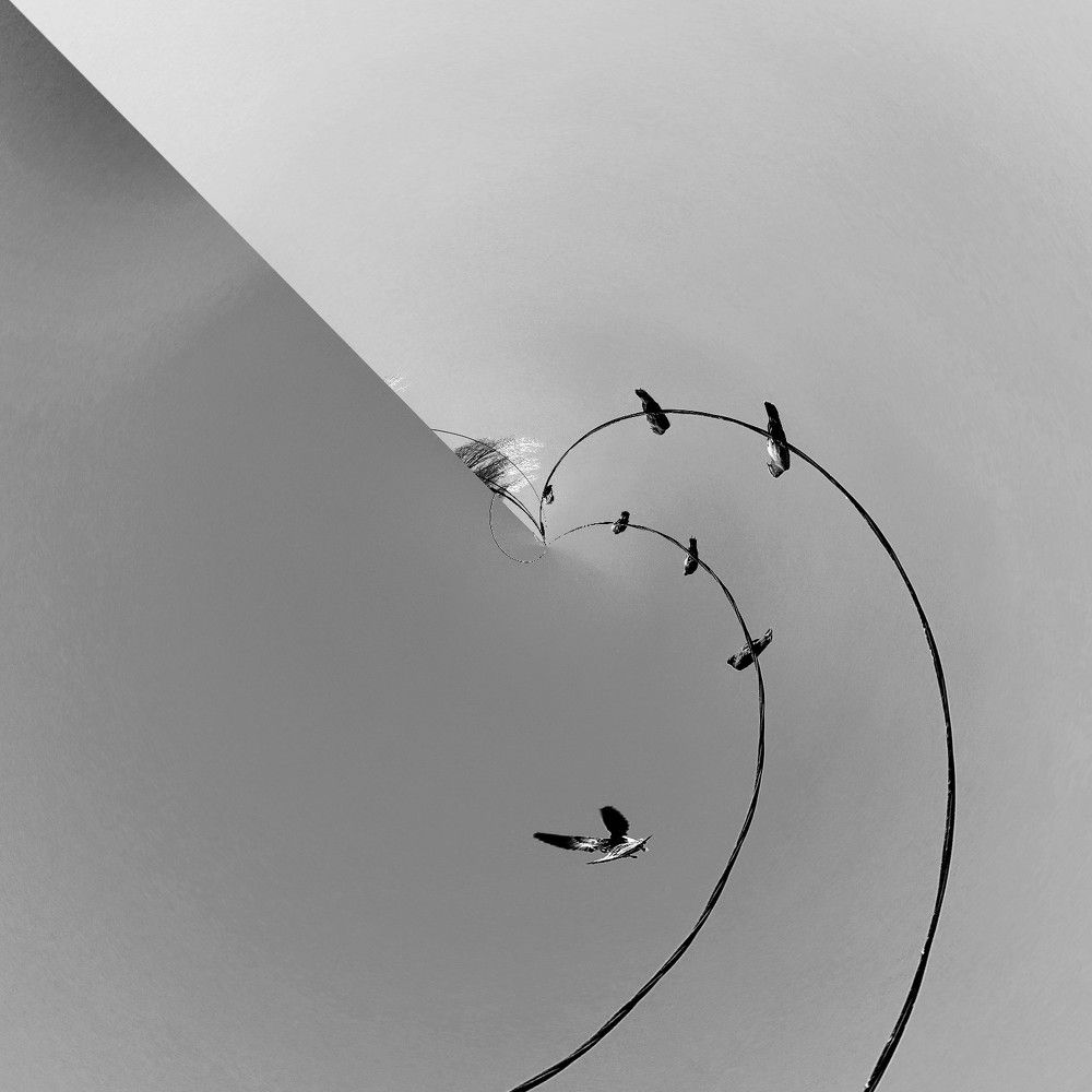 Photograph by Karina Yakovleva