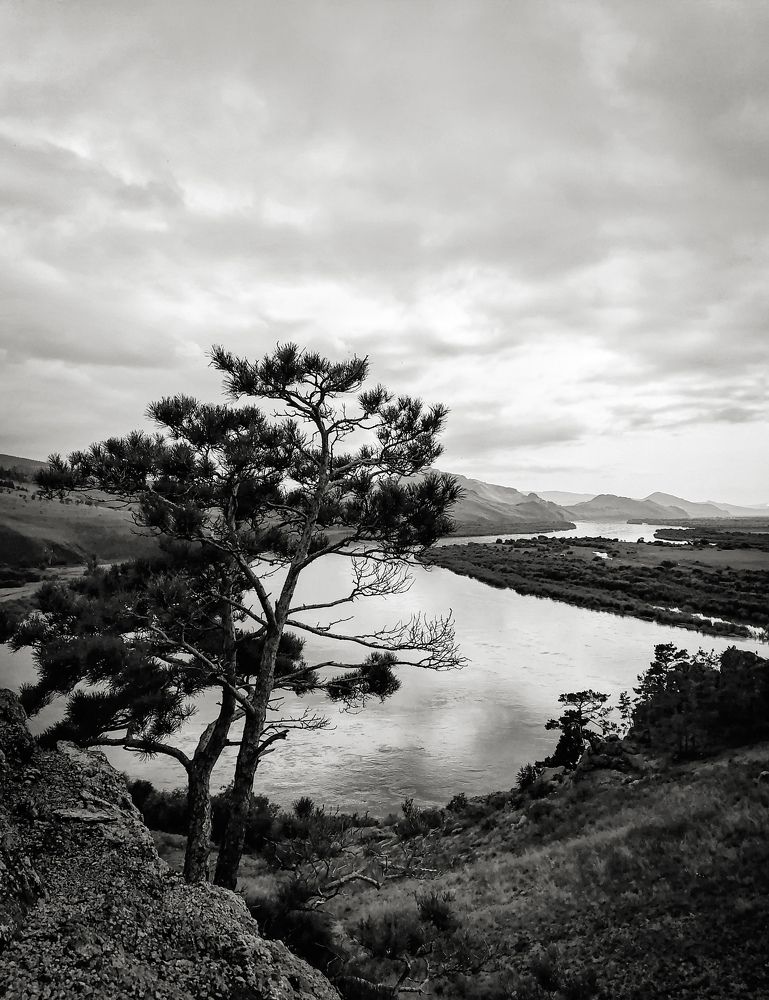 Photograph by Светлана Шелухеева