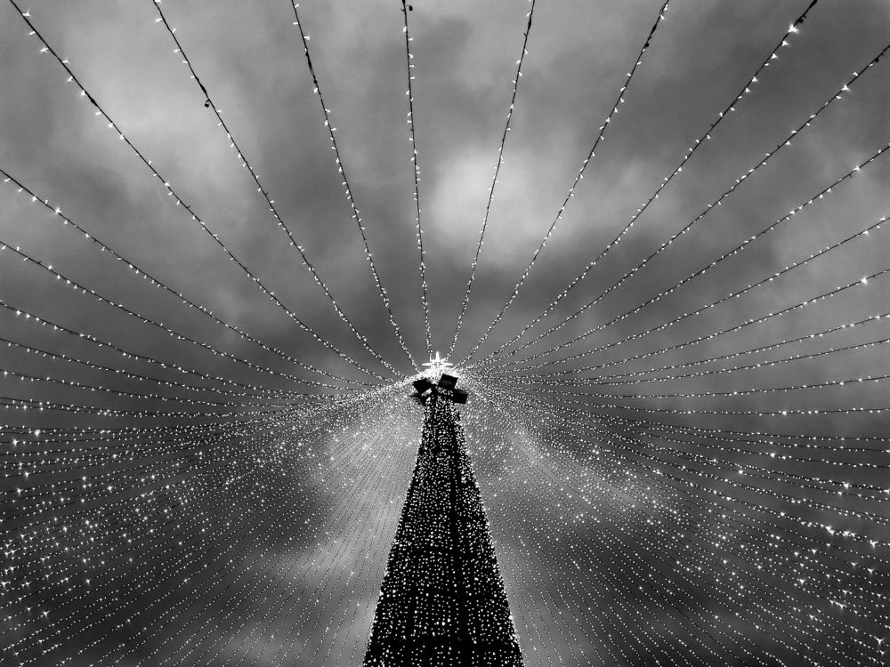 Photograph by Irina Magdalena Bivolaru