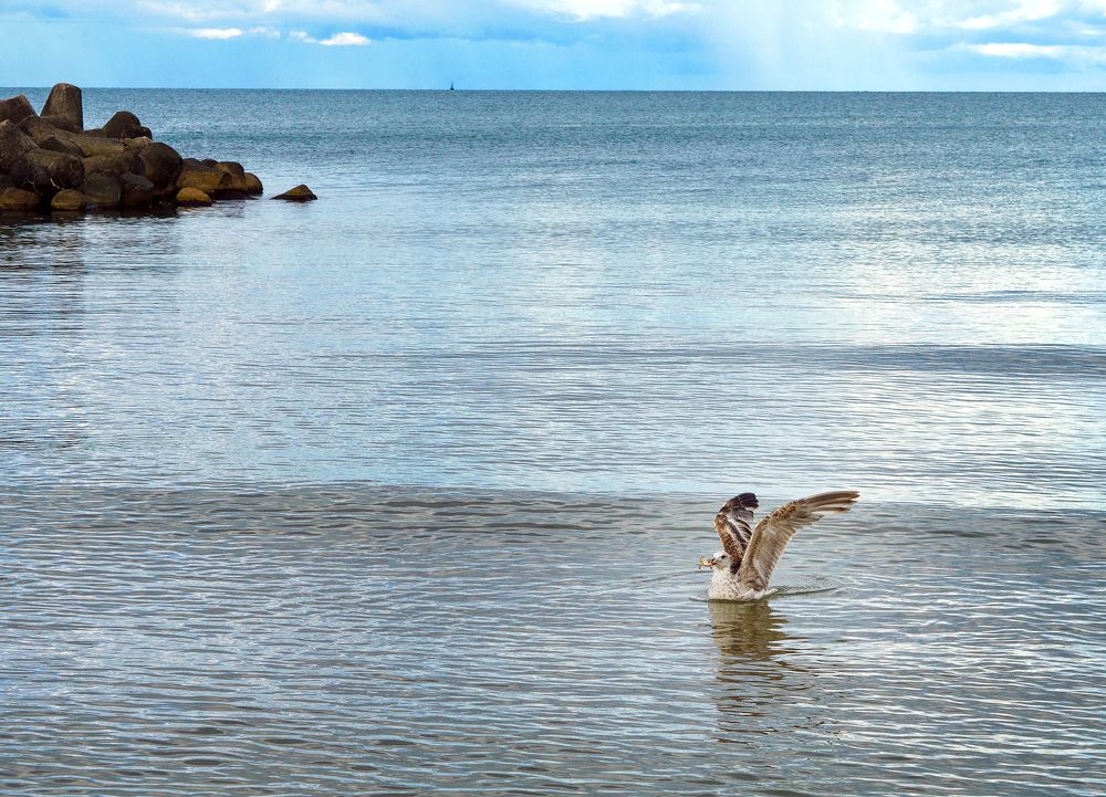 Удачная охота