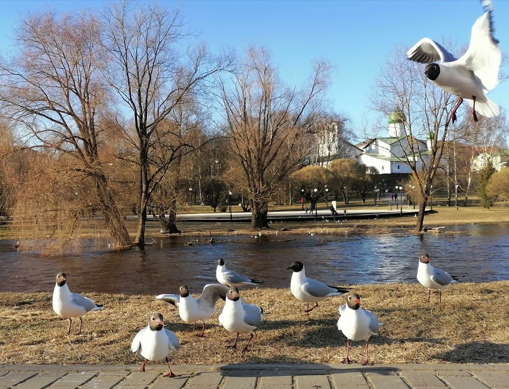 Photograph by Марина Евченко