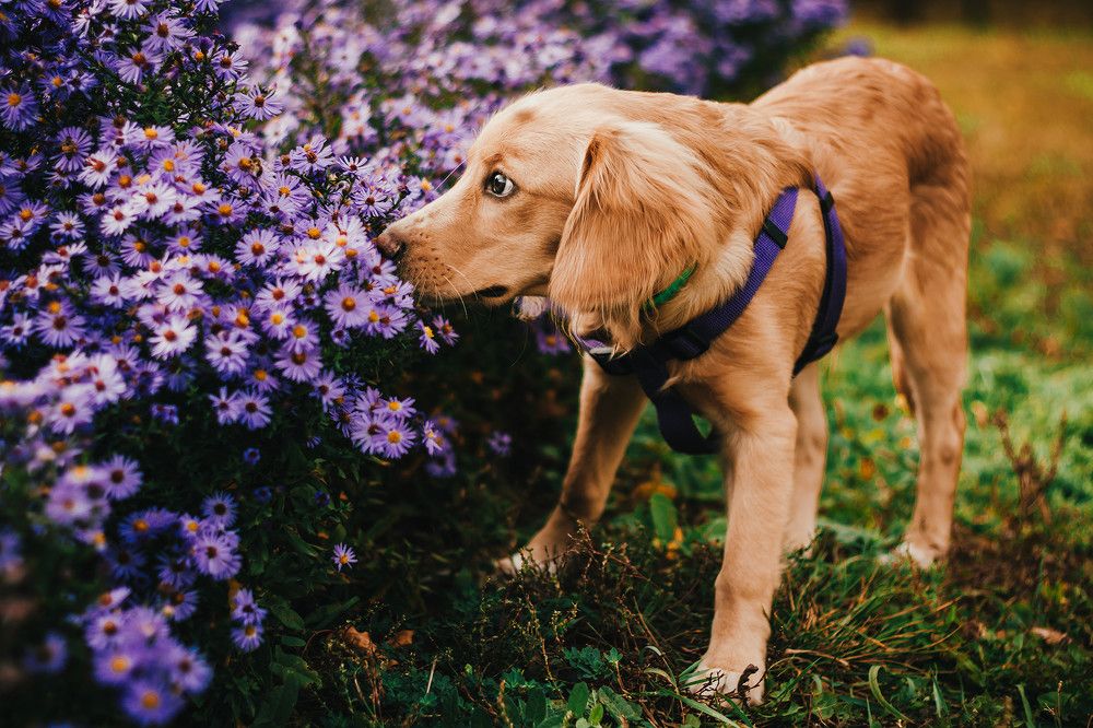 Photograph by Алексей Дукин