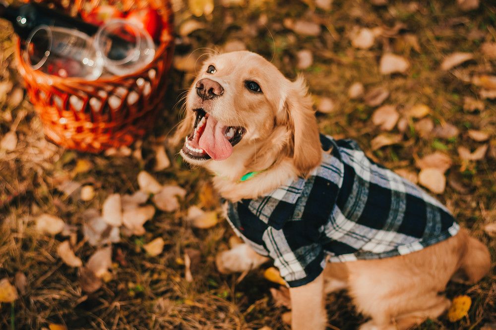 Photograph by Алексей Дукин