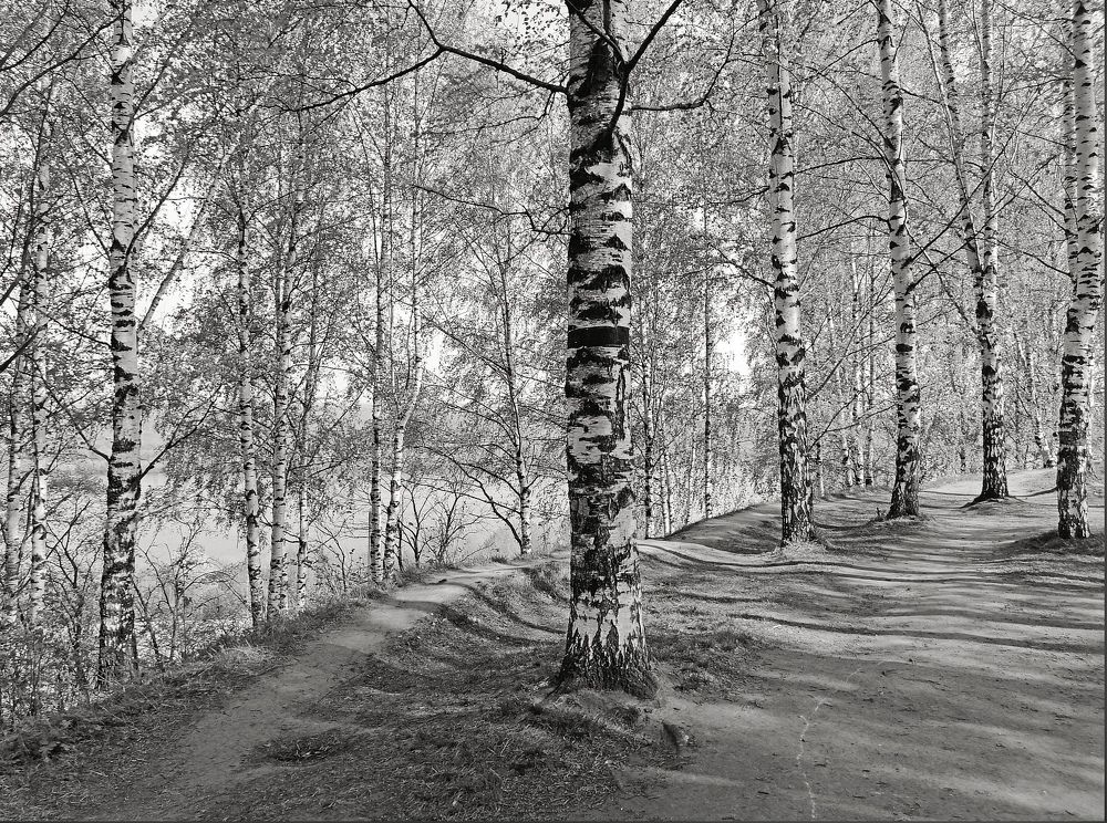 Photograph by Ольга