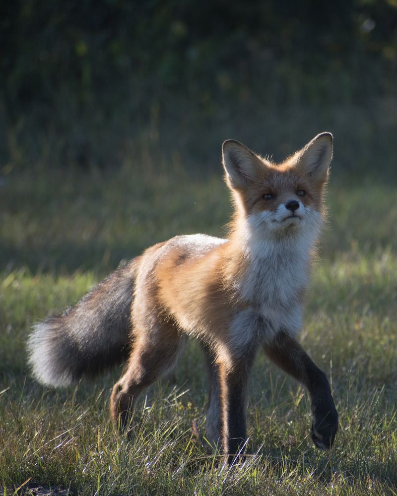 На закате дня