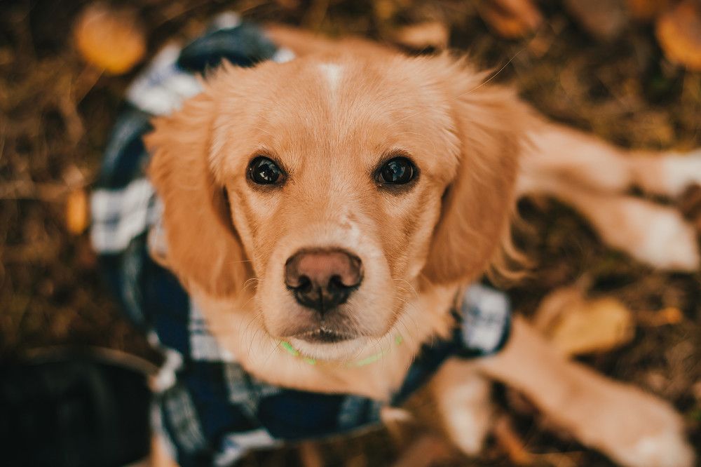 Photograph by Алексей Дукин