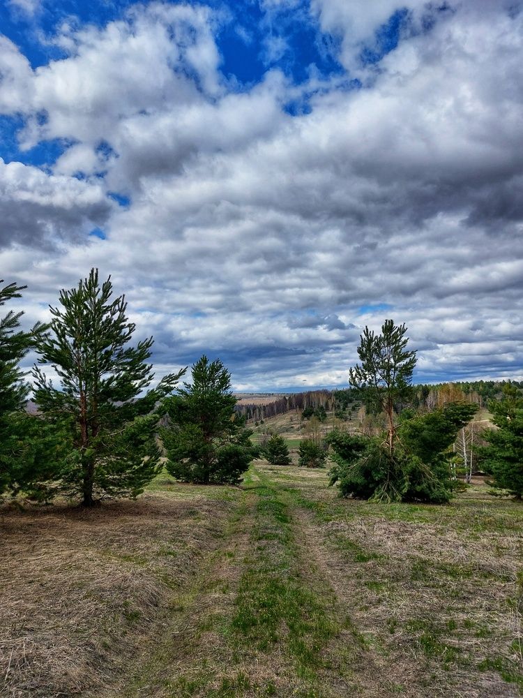Photograph by Зульфия Вакилова