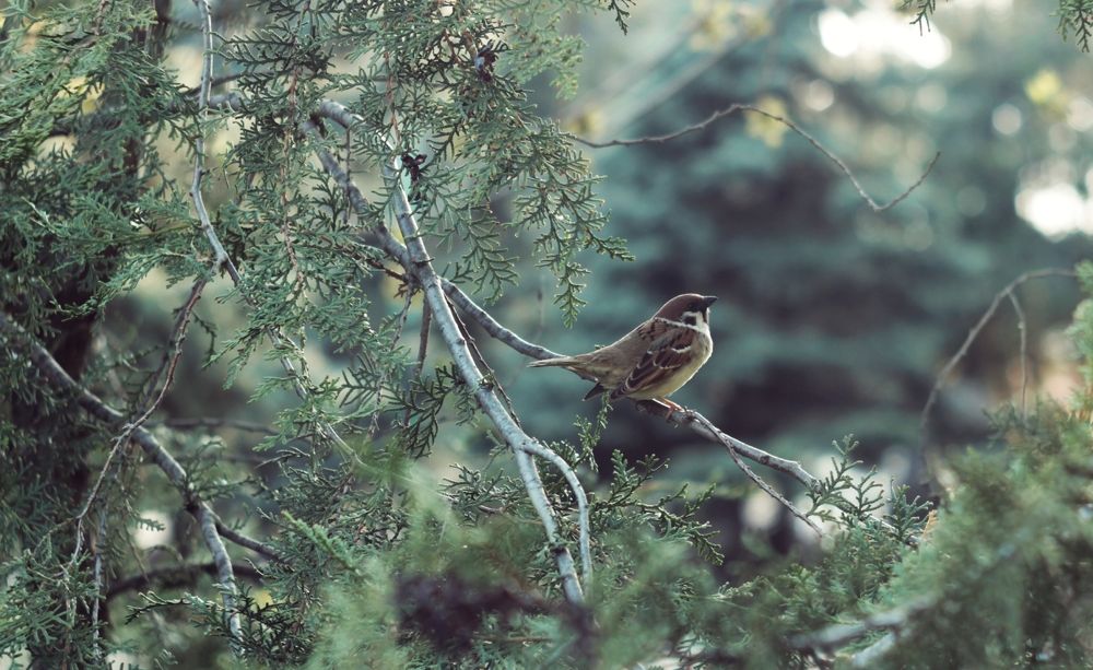 Photograph by Алёна Бондаренко