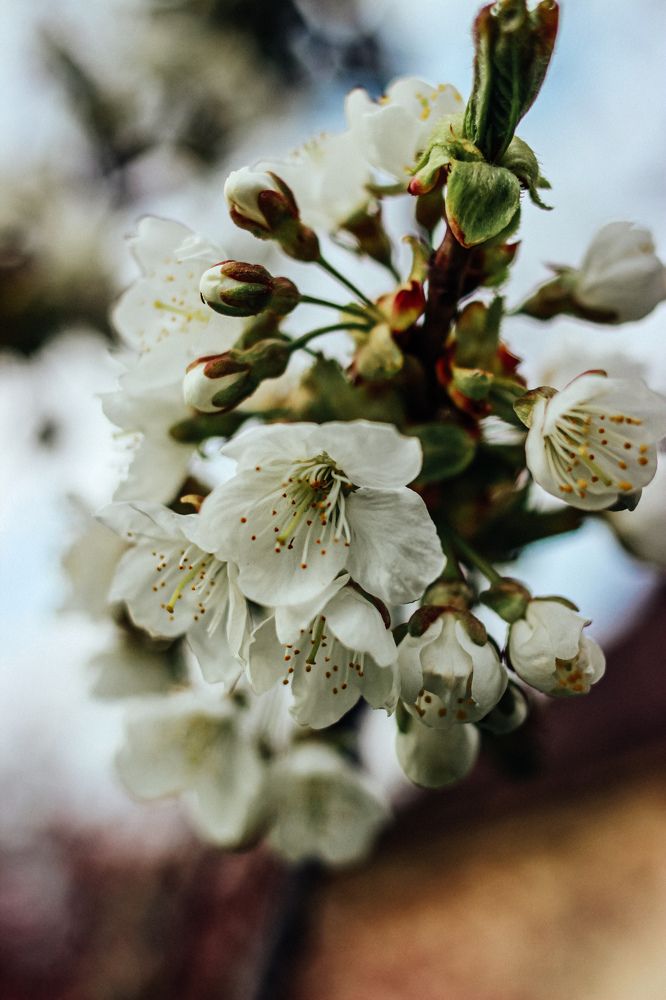 Photograph by Юлия Белозёрова