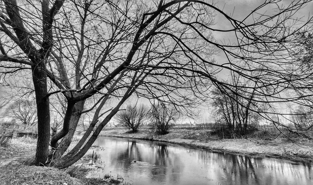 Photograph by Василий Фроленок