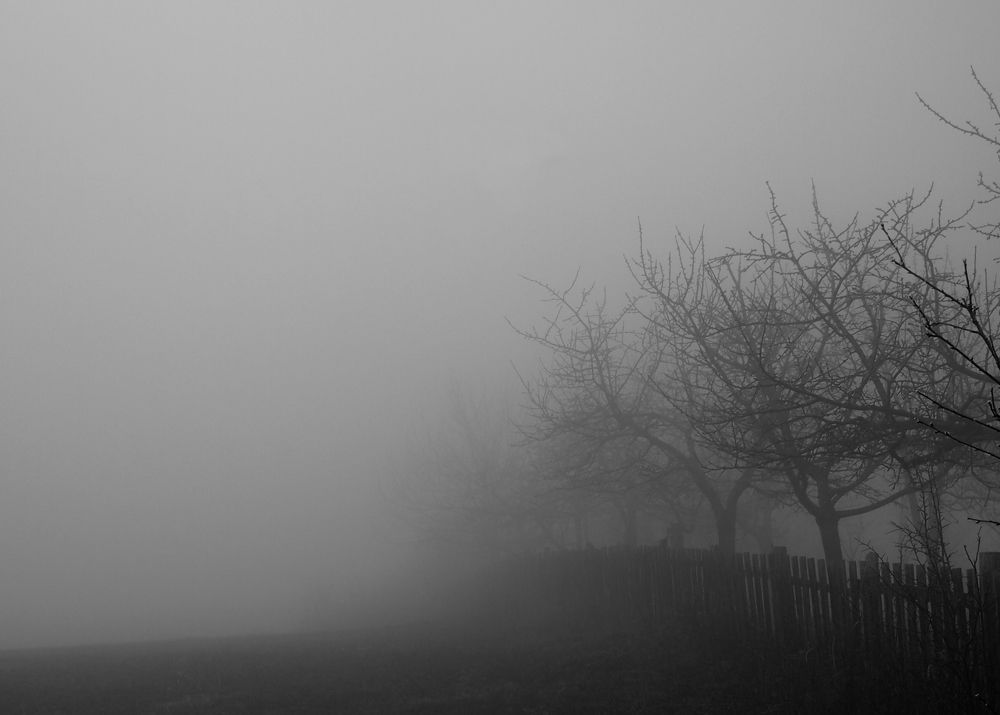 Photograph by Irina Magdalena Bivolaru