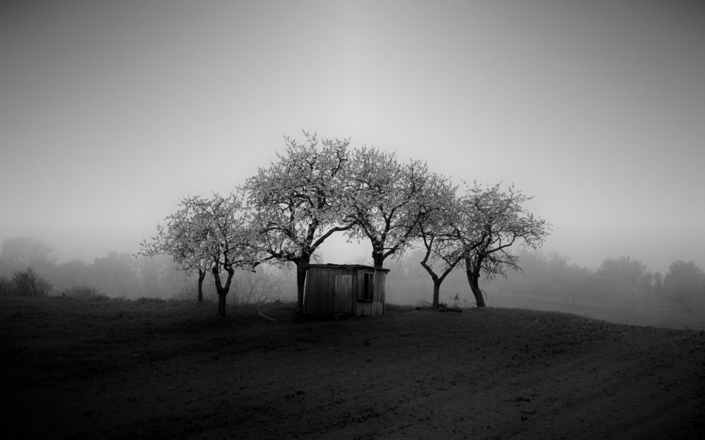 Photograph by Irina Magdalena Bivolaru