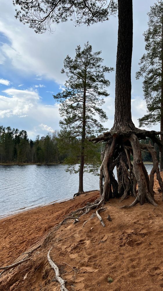 Photograph by Александра Морозова