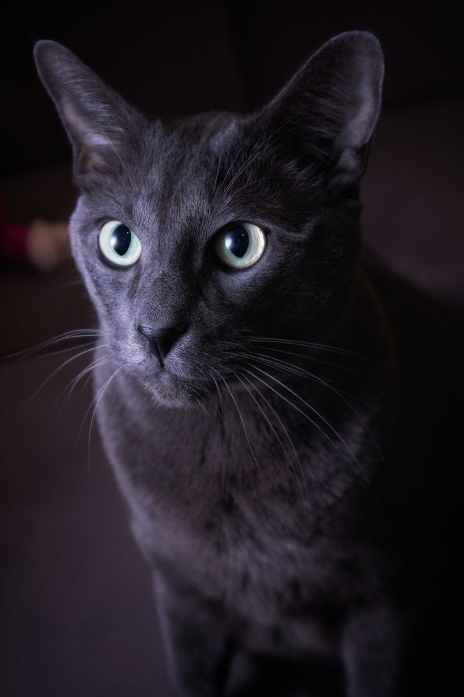 Photograph by Екатерина Ефимова