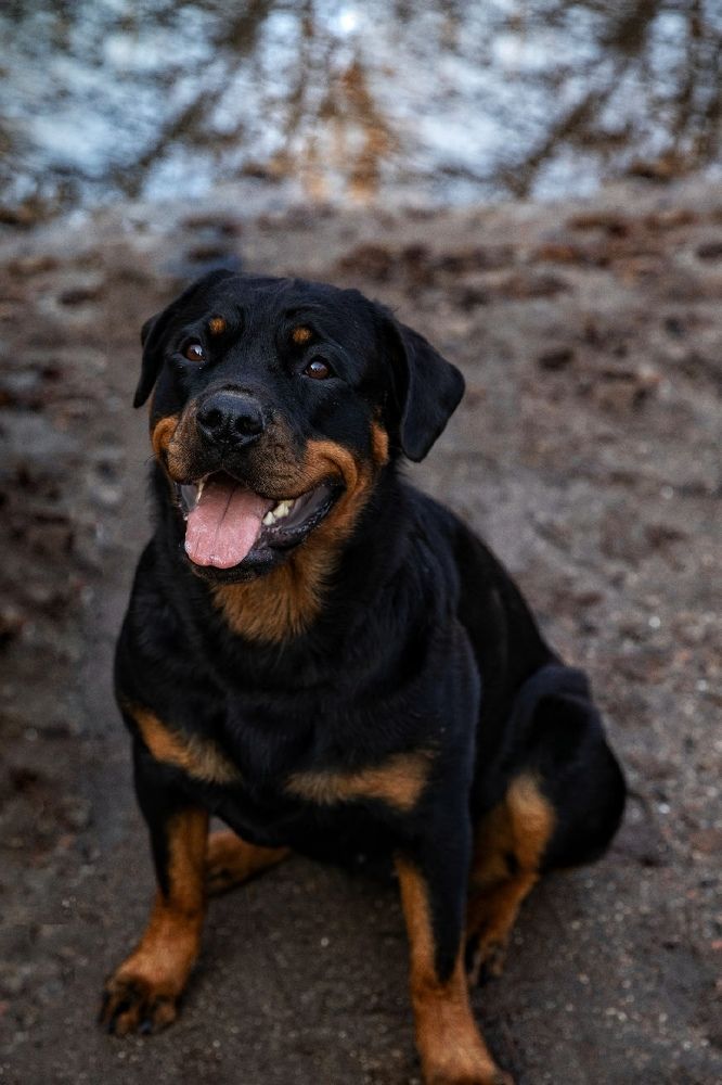 Photograph by Екатерина Ефимова