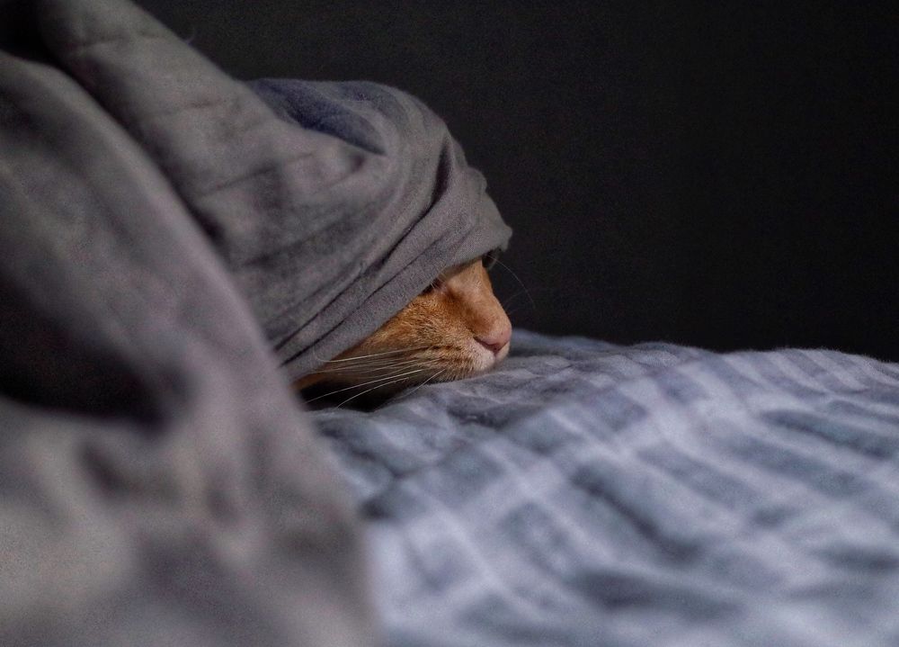 Фотография автора Ольга Шкотова