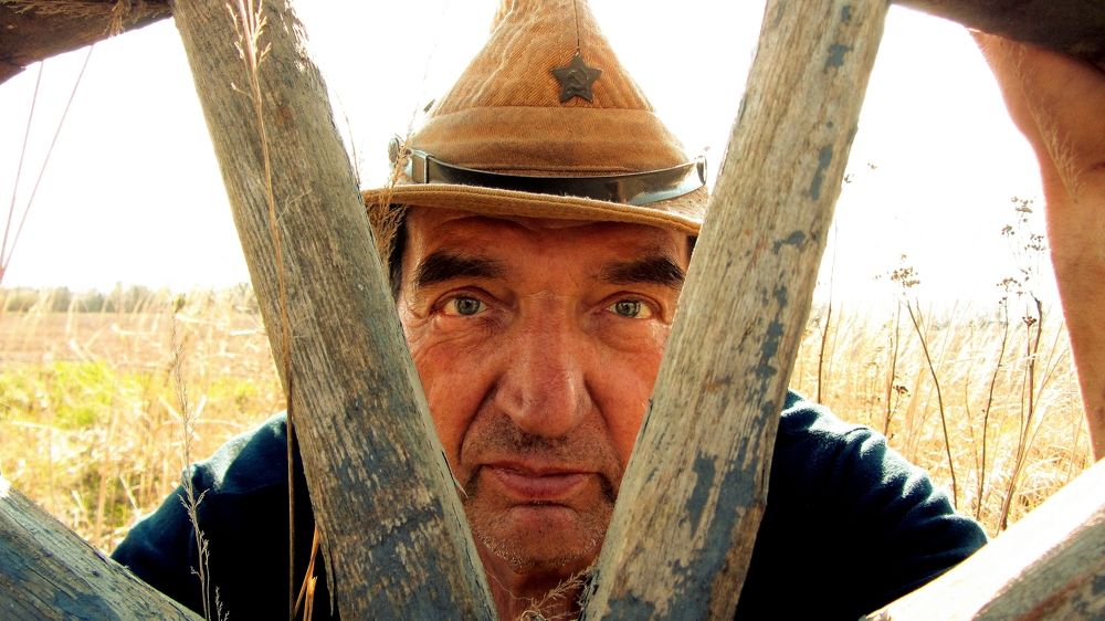 Photograph by Александр Поздняков