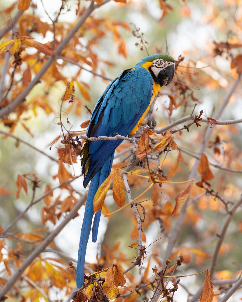 Photograph by Cifuentes Alejandro