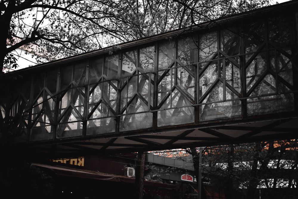 Photograph by Игорь Чечин