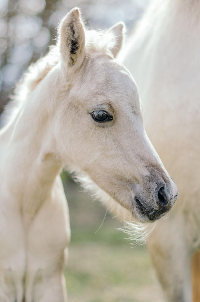 Photograph by Светлана Федяева