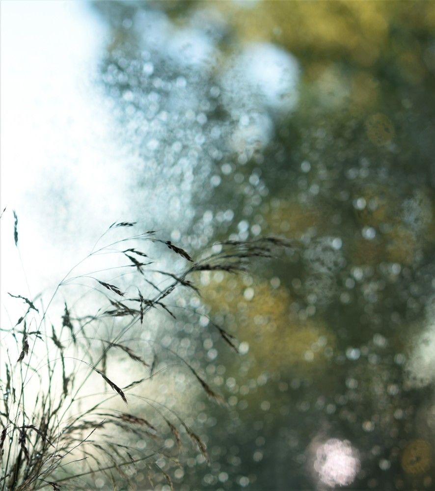 Фотография автора Ася Бабушкина