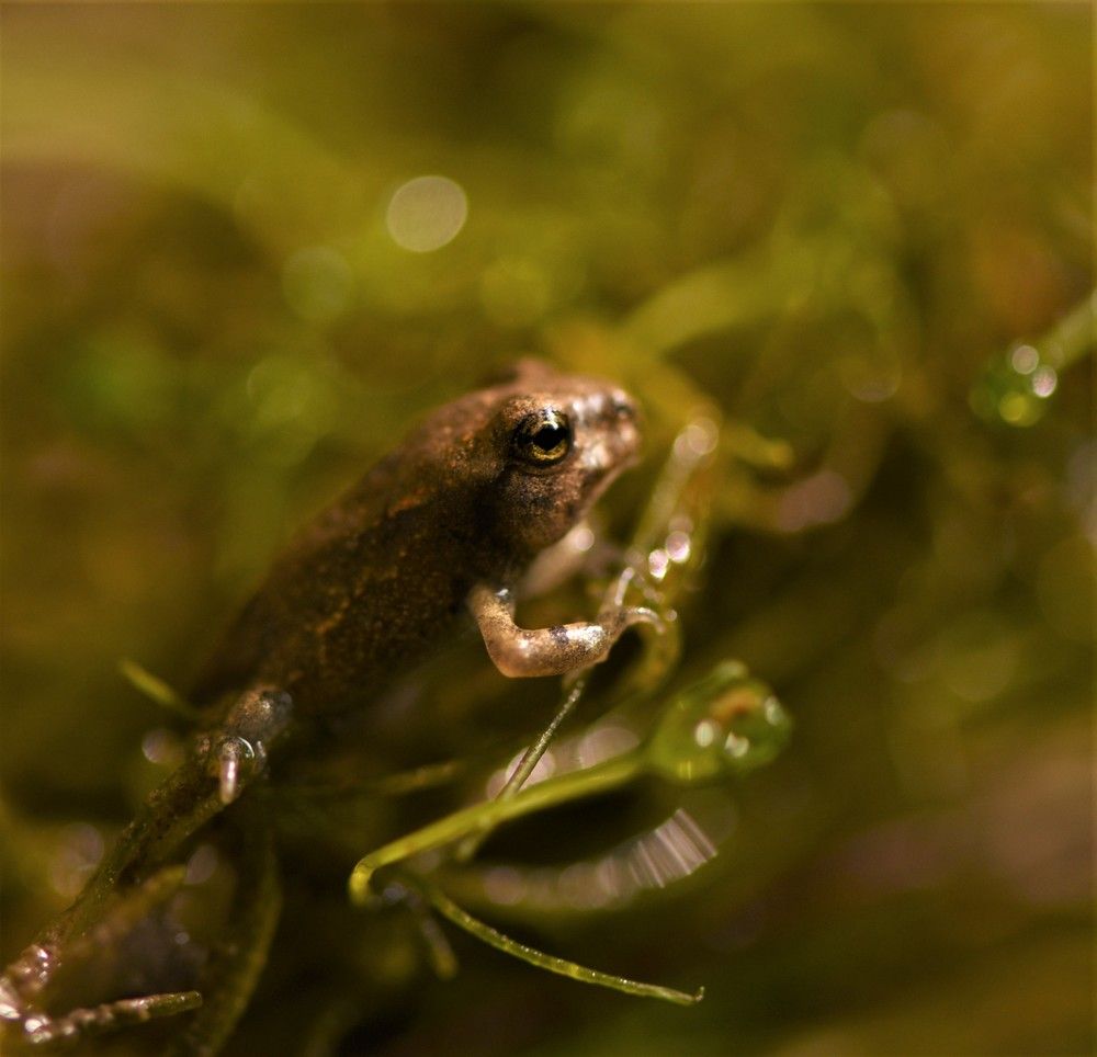 Фотография автора Ася Бабушкина