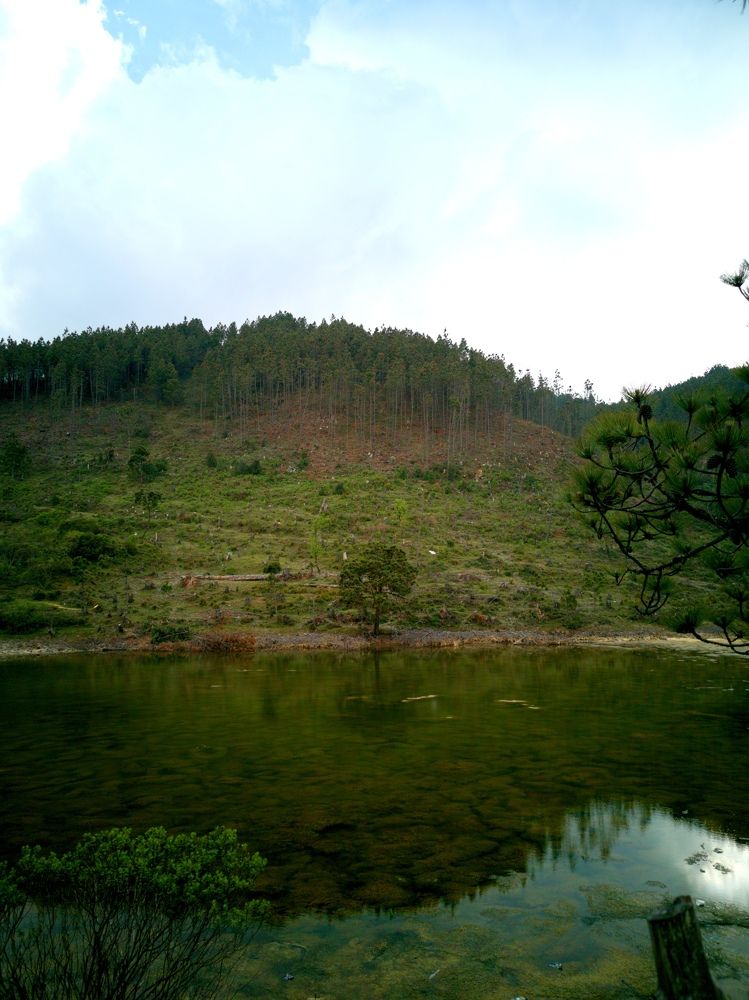 Photograph by Ruden Herrera