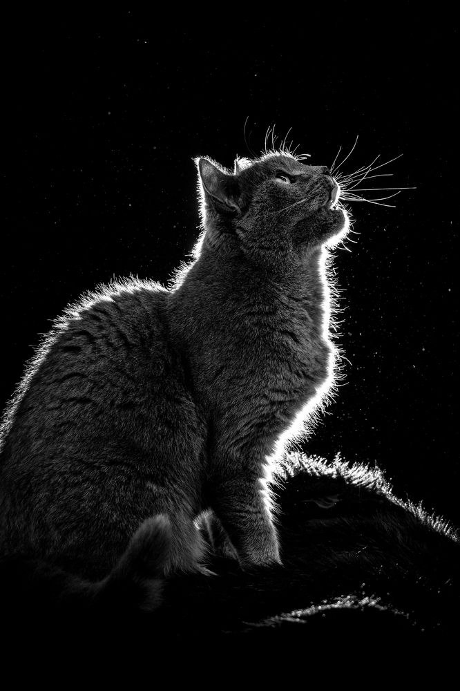 Photograph by Simona Stalidzāne