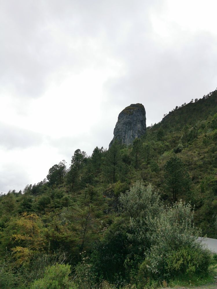 Photo #7551516