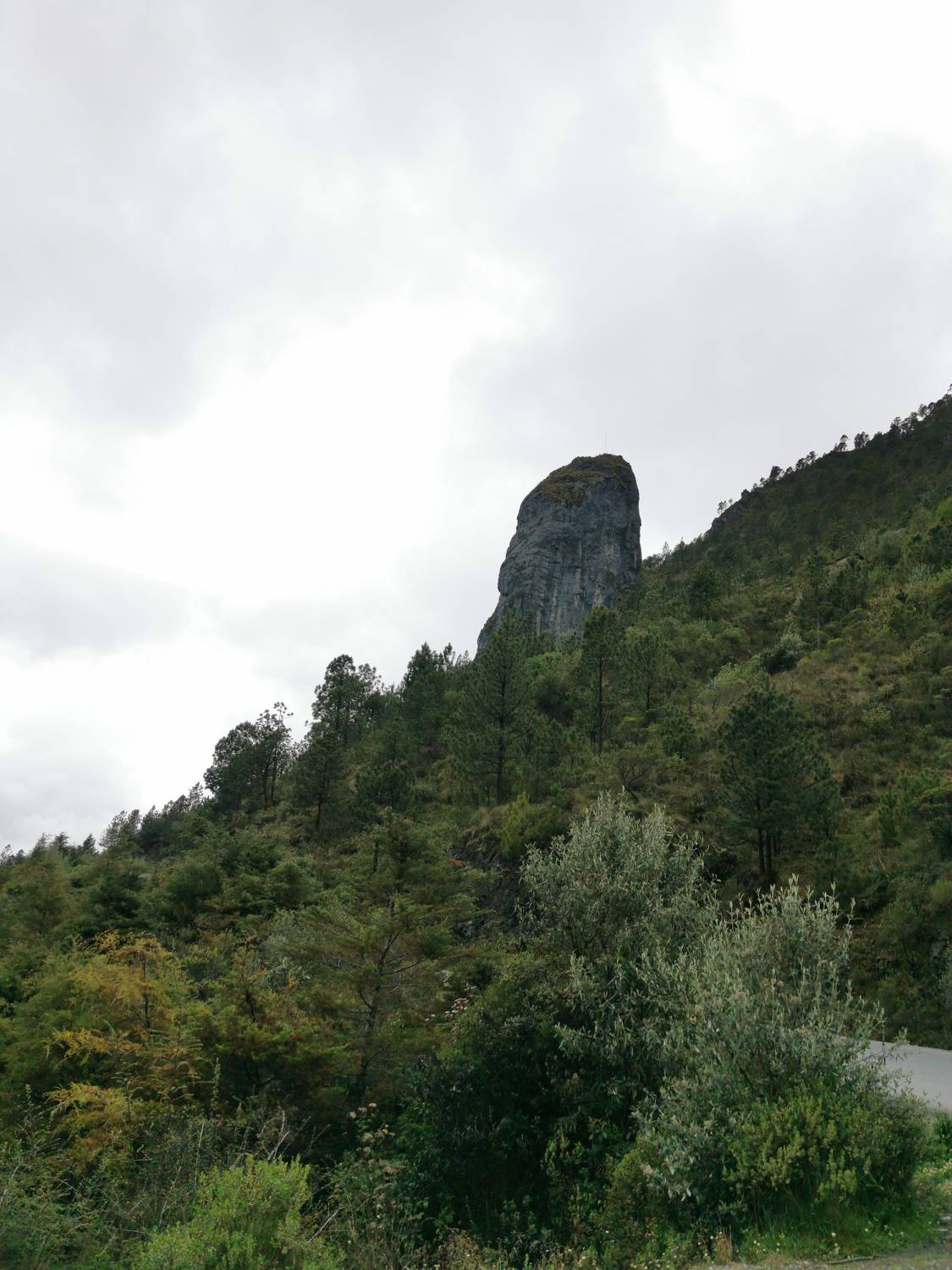 Photo #7551516