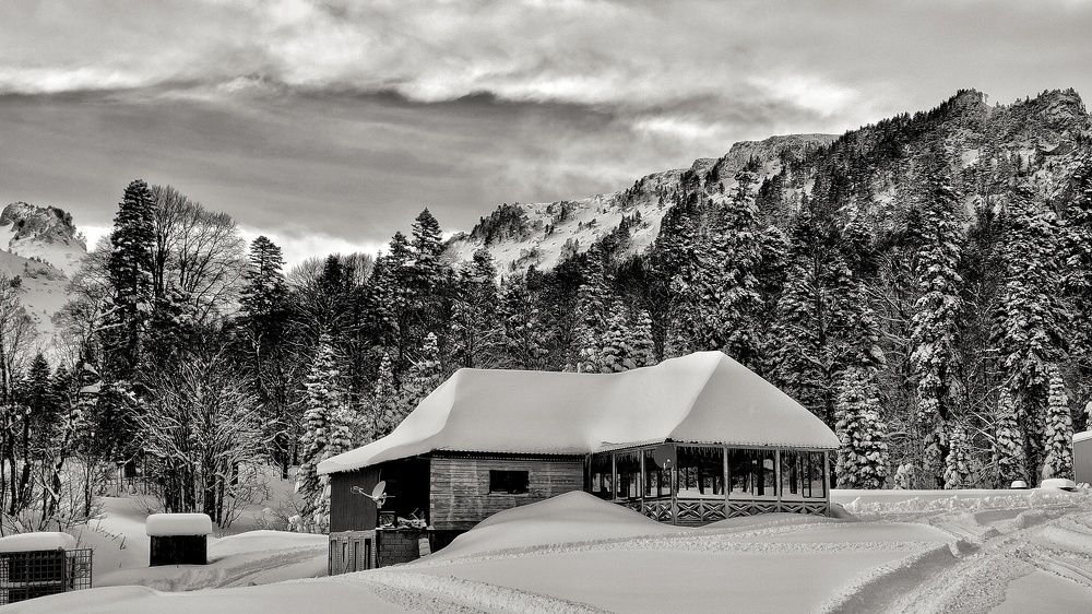 Photograph by Сергей Кравченко