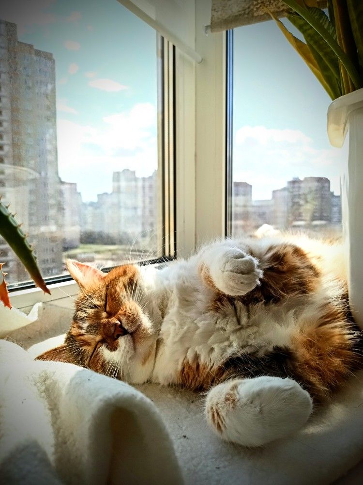 Photograph by Екатерина Шуляк