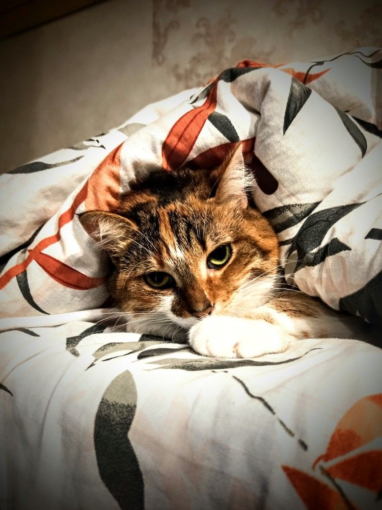 Photograph by Екатерина Шуляк