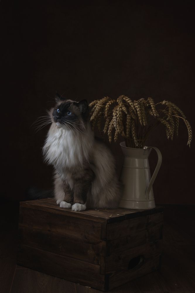 Фотография автора Natalja Bindere