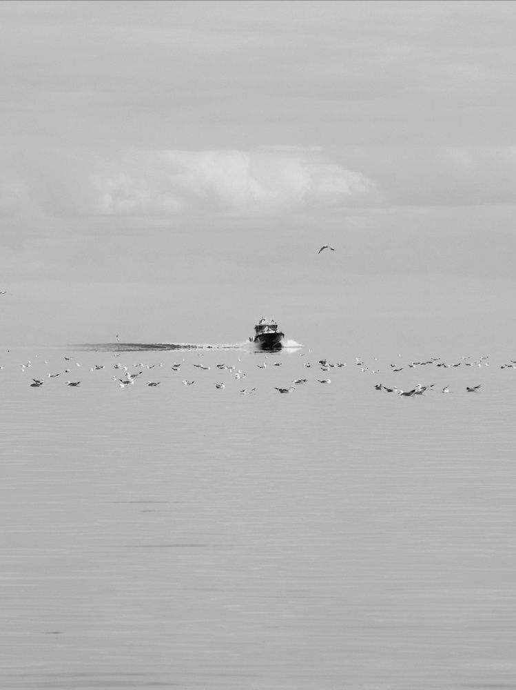 Photograph by Olga Asson