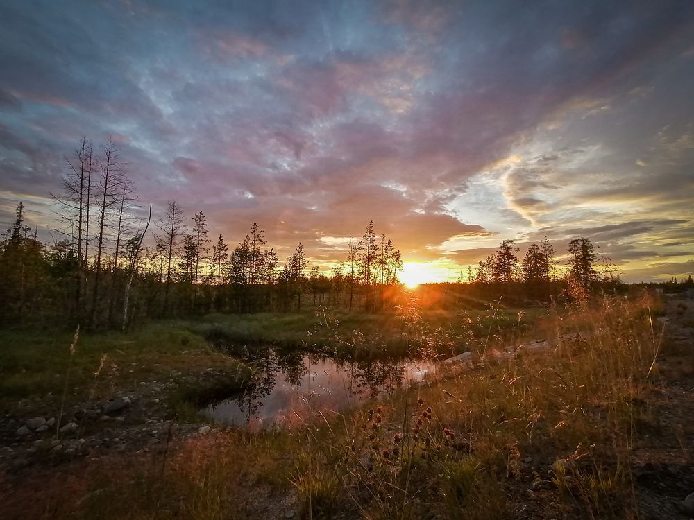 Photograph by Анастасия Третьякова