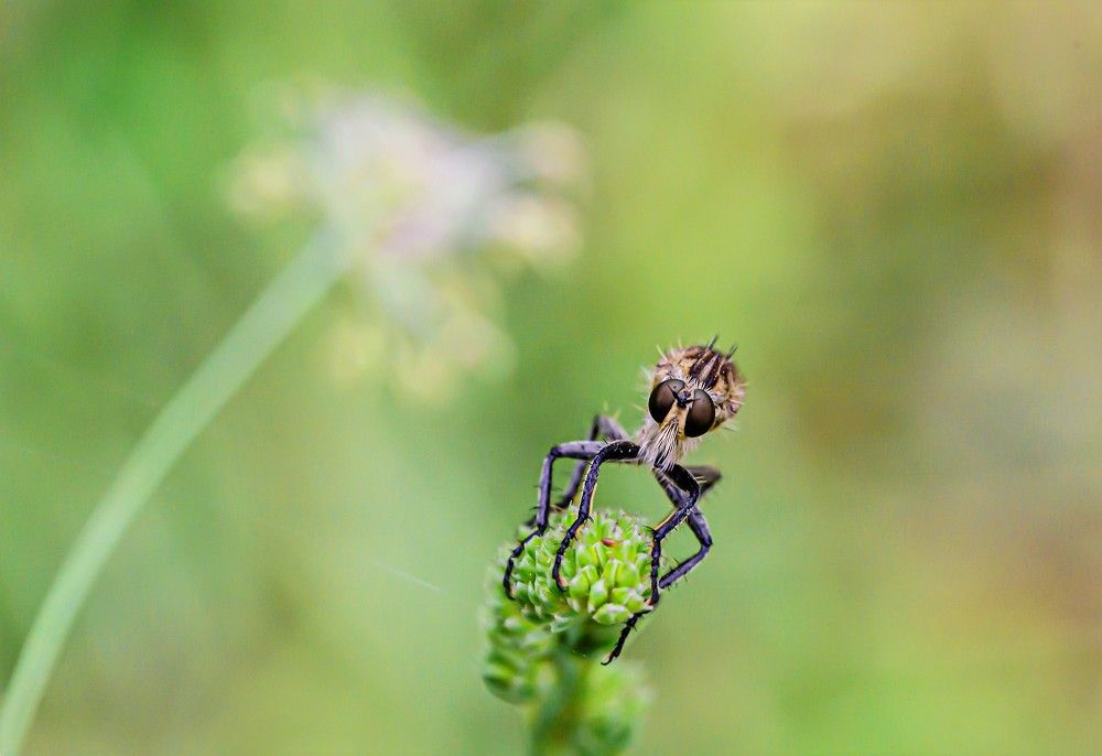 Photograph by Татьяна Колногоров
