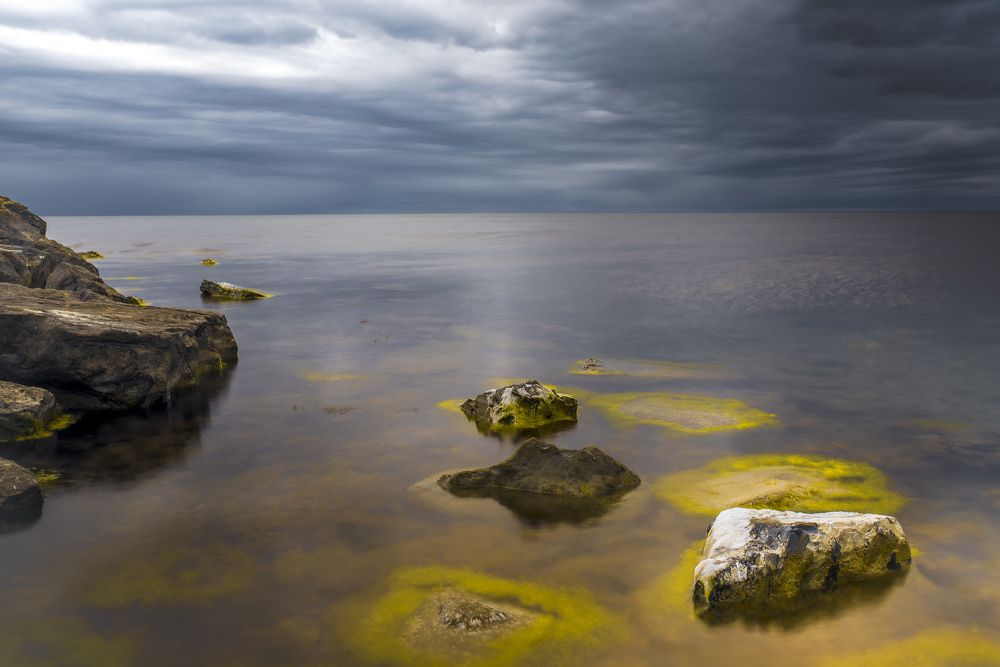 Photograph by 