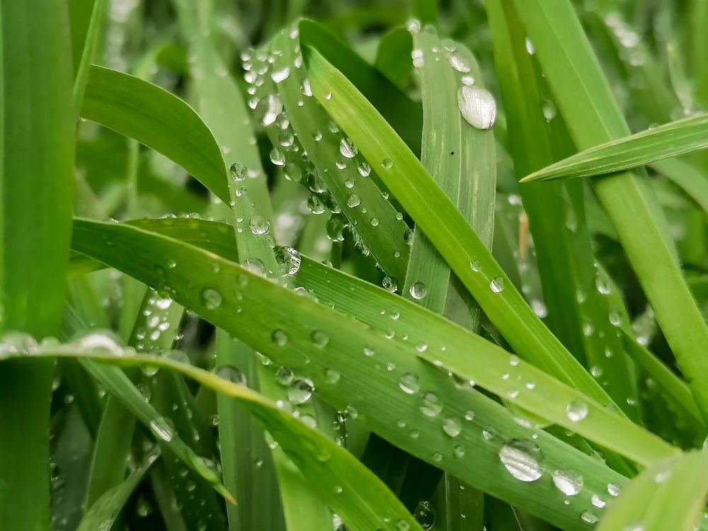 Photograph by Христо Колев