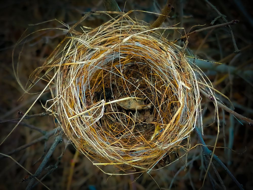 Photograph by Христо Колев