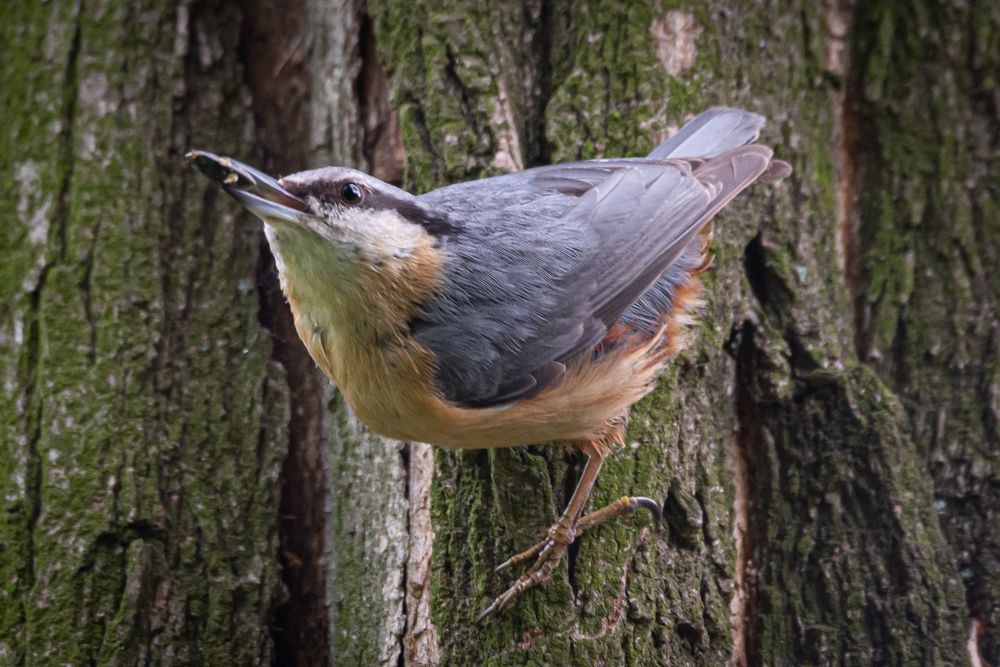 Photograph by Христо Колев