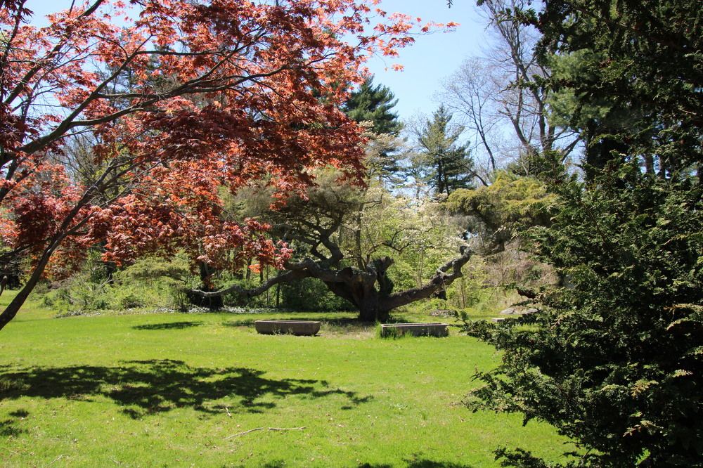 Photograph by Leo Tujak