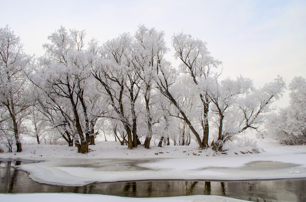 Фотография автора Сергей Ляшко
