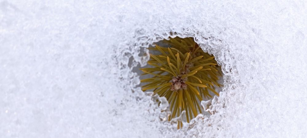 Photograph by Надежда Иванова