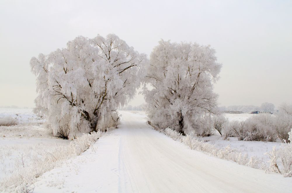 Фотография автора Сергей Ляшко