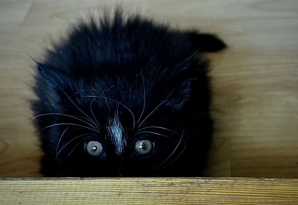 Photograph by Елена Мизина