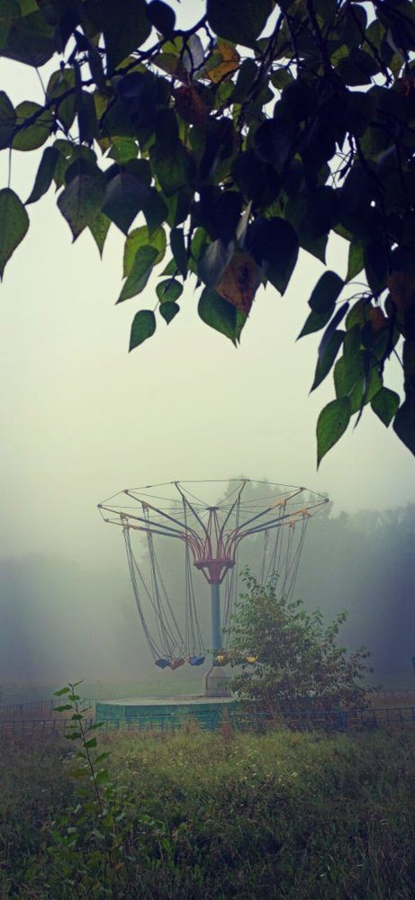 Photograph by Валентина Ильиных