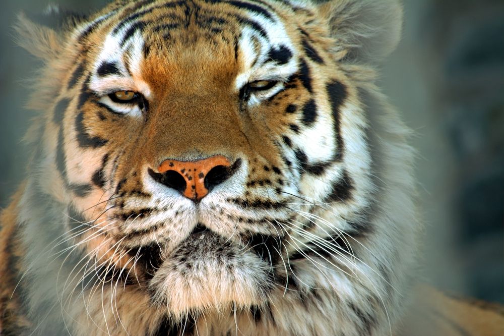 Это мой год!