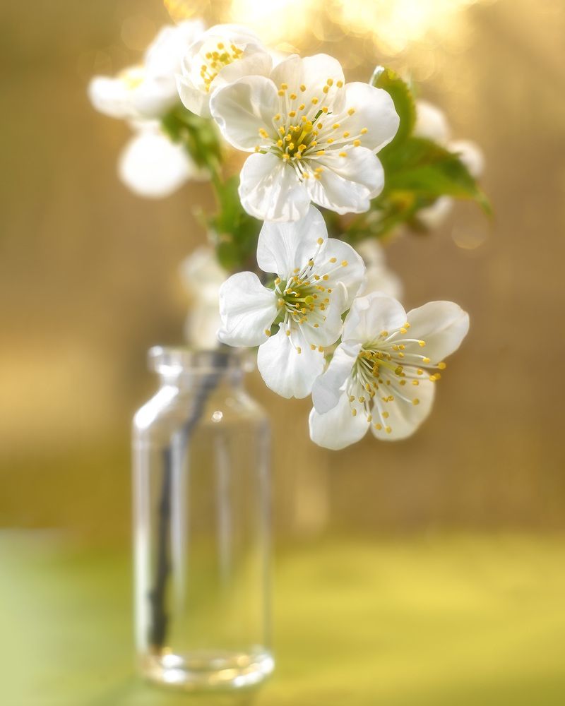 Photograph by Валерий Вторыгин